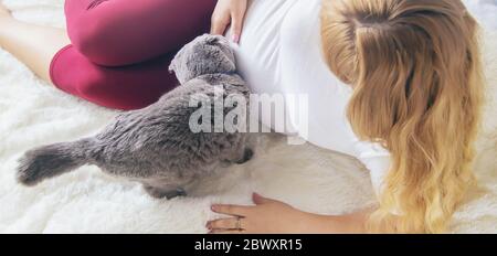 Eine schwangere Frau mit einer Katze liegt im Bett. Selektiver Fokus. Tier. Stockfoto