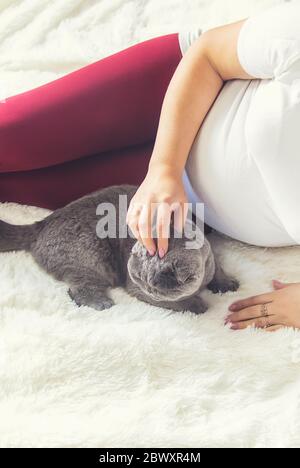 Eine schwangere Frau mit einer Katze liegt im Bett. Selektiver Fokus. Tier. Stockfoto