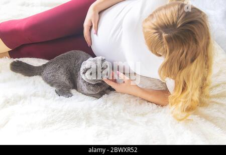 Eine schwangere Frau mit einer Katze liegt im Bett. Selektiver Fokus. Tier. Stockfoto