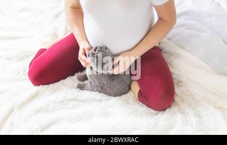 Eine schwangere Frau mit einer Katze liegt im Bett. Selektiver Fokus. Tier. Stockfoto