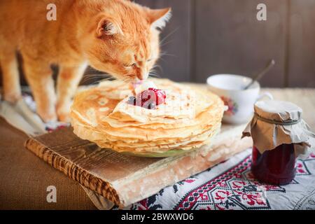 Startseite rote Katze isst Crepes mit Sahne auf dem Küchentisch. Stockfoto