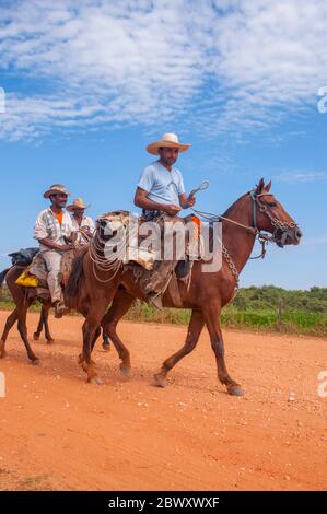 Pantaneiros (brasilianische Cowboys) auf dem Pferderücken auf der Transpantaneira Road im nördlichen Pantanal in Brasilien. Stockfoto