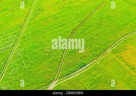 Ländliche Feldwege für Traktoren in grünen Grasfeldern im Sommer, Luftaufnahme von Höhen Stockfoto