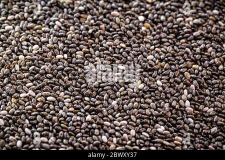 Hintergrundtextur mit vielen Chiasamen, Konzept des gesunden Lebens, Ernährung oder veganes Essen. Stockfoto