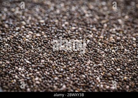 Hintergrundtextur mit vielen Chiasamen, Konzept des gesunden Lebens, Ernährung oder veganes Essen. Stockfoto