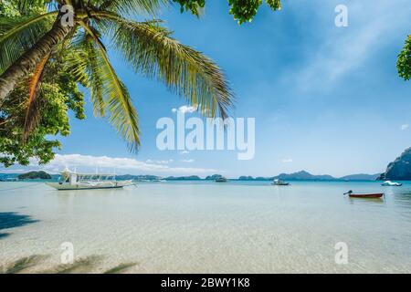 El Nido, Palawan, Philippinen. Palmen am Corong Corong Strand, Insel-Hopping-Boote in der blauen flachen Lagune und blauem Himmel Stockfoto