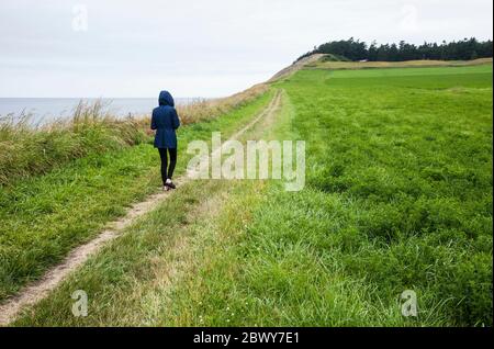 Eine junge Frau, die auf dem Weg nach Ebeys Bluffs, Ebey's Landing National Historical Reserve, Whidbey Island, Washington, USA, läuft. Stockfoto