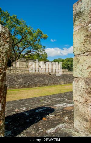 Der Ball Court auf dem Great Plaza an der archäologischen Stätte der Maya (UNESCO Weltkulturerbe) in Copan, Honduras. Stockfoto