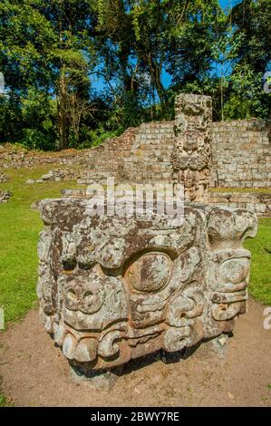 Stelae D auf dem Great Plaza an der archäologischen Stätte der Maya (UNESCO-Weltkulturerbe) in Copan, Honduras. Stockfoto