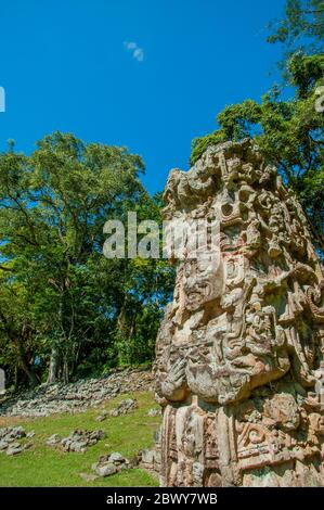 Stelae D auf dem Great Plaza an der archäologischen Stätte der Maya (UNESCO-Weltkulturerbe) in Copan, Honduras. Stockfoto