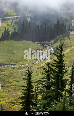 Wiese mit Flussbrücke und Wanderer von oben am Mount rainier gesehen Stockfoto