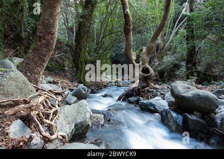 Schöner Fluss im Wald. Große und kleine Felsen im Wasser. Aufnahme mit langer Belichtung. Stockfoto