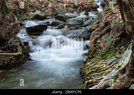 Schöner Fluss im Wald. Große und kleine Felsen im Wasser. Aufnahme mit langer Belichtung. Stockfoto