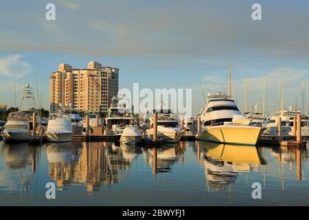 Palm Harbor Marina, West Palm Beach, Florida, USA, Nordamerika Stockfoto