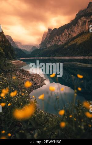 Nebliger Sommermorgen am Vorderer Gosausee. Farbenprächtiger Sonnenaufgang in den österreichischen Alpen, im Salzkammergut Resort im Gosautal in Oberösterreich Stockfoto