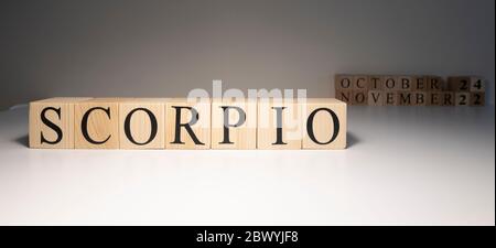 Skorpion Wort auf Holzwürfeln auf weißem Hintergrund. Stockfoto