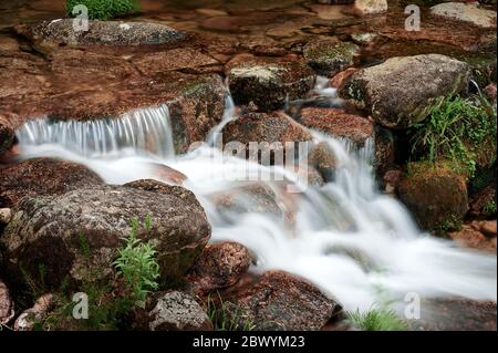 Wasserfall im Wald von Mata de Albergaria, gerês Stockfoto