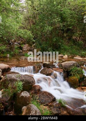 Wasserfall im Wald von Mata de Albergaria, gerês Stockfoto