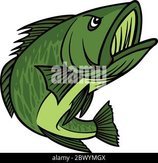 Bass Mascot- eine Illustration eines Bass Mascot. Stock Vektor