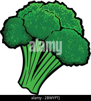 Broccoli - EINE Karikatur des Broccoli. Stock Vektor
