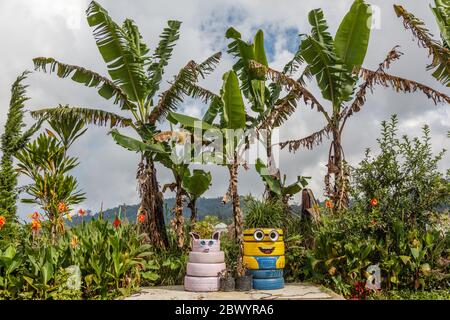 Umweltfreundliche Landschaftsgestaltung. Blumenbeete mit wiederverwendeten Reifen. Blumenpark in Bedugul, Tabanan, Bali, Indonesien. Stockfoto