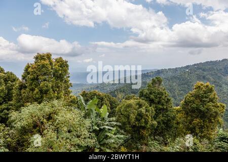 Blick auf den Buyan See (Danau Buyan), einer der beiden Twin Seen von oben. Buleleng, Bali, Indonesien. Urlaubsziel. Stockfoto