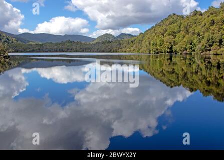 Reflexionen auf dem Gordon River Stockfoto