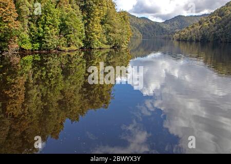 Reflexionen auf dem Gordon River Stockfoto