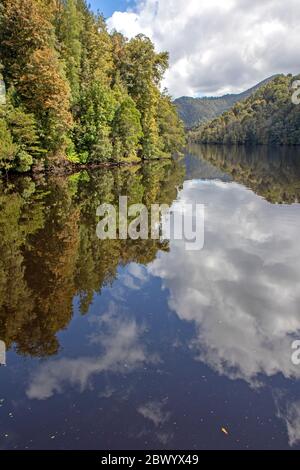 Reflexionen auf dem Gordon River Stockfoto