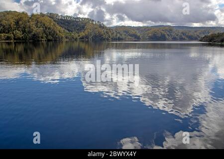 Reflexionen auf dem Gordon River Stockfoto
