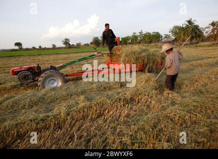 Nakhon Sawan, Thailand. Juni 2020. Thailändische Bauern laden Stroh auf einen motorisierten Pflug auf einem Reisfeld in der Provinz Nakhon Sawan, nördlich von Bangkok. Quelle: SOPA Images Limited/Alamy Live News Stockfoto