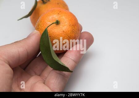 Hand mit Mandarine und Mandarine Orange isoliert auf weiß, Mandarine Orange sind symbolisch für Früchte des Wohlstands und chinesischen Neujahr, chinesisches New Yea Stockfoto
