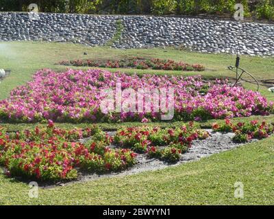 Muscat, Omans Hafenhauptstadt, liegt am Golf von Oman, umgeben von Bergen und Wüste. Oman, offiziell das Sultanat Oman, ist ein Land an der südöstlichen Küste der Arabischen Halbinsel in Westasien. Stockfoto