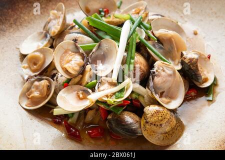Gebratene Venusmuscheln, chinesisches Essen Stockfoto