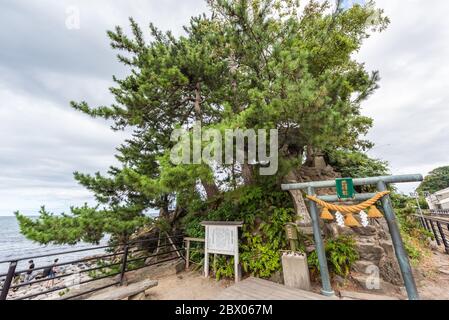 Toyama Bay Onnaiwa Rock bei Amaharashi COAs, nahe Takaoka in der Präfektur Toyama ist ein schöner Ort.Japan Stockfoto