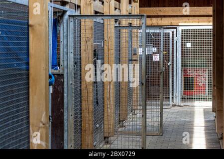 Straubing, Deutschland. Juni 2020. Türen der leeren Zwingereien im Tierheim Straubing sind offen. In zahlreichen Tierheimen in Bayern sind Zwingern und Käfige derzeit leer. Seit Beginn der Corona-Krise ist die Nachfrage nach Hunden, Katzen oder Kaninchen gestiegen. Quelle: Armin Weigel/dpa/Alamy Live News Stockfoto