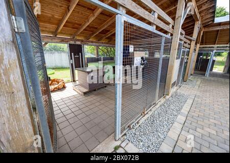 Straubing, Deutschland. Juni 2020. Die Tür zu einem leeren Hundezwinger im Straubing Tierheim ist offen. In zahlreichen Tierheimen in Bayern sind Zwingern und Käfige derzeit leer. Seit Beginn der Corona-Krise ist die Nachfrage nach Hunden, Katzen oder Kaninchen gestiegen. Quelle: Armin Weigel/dpa/Alamy Live News Stockfoto