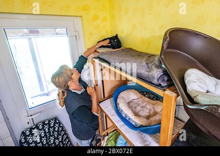 Straubing, Deutschland. Juni 2020. Ricarda Schumann, Leiterin des Tierheims, streichelt eine Katze im Tierheim Straubing. In zahlreichen Tierheimen in Bayern sind Zwingern und Käfige derzeit leer. Seit Beginn der Corona-Krise ist die Nachfrage nach Hunden, Katzen oder Kaninchen gestiegen. Quelle: Armin Weigel/dpa/Alamy Live News Stockfoto