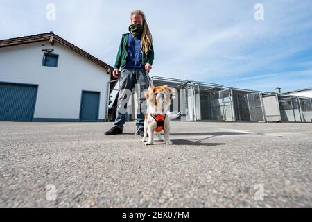 Straubing, Deutschland. Juni 2020. Ein Mann geht mit Pekingese-Mischling 'Charly' vom Tierheim. In zahlreichen Tierheimen in Bayern sind Zwingern und Käfige derzeit leer. Seit Beginn der Corona-Krise ist die Nachfrage nach Hunden, Katzen oder Kaninchen gestiegen. Quelle: Armin Weigel/dpa/Alamy Live News Stockfoto