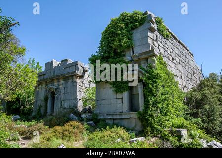 Ein Teil der Turnhalle Ruinen an der antiken Stätte von Termessos in der Türkei. Termessos liegt im Taurusgebirge nordwestlich von Antalya. Stockfoto