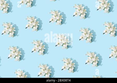 Blumenmuster des Apfelbaums. Heller Sommer Hintergrund Stockfoto