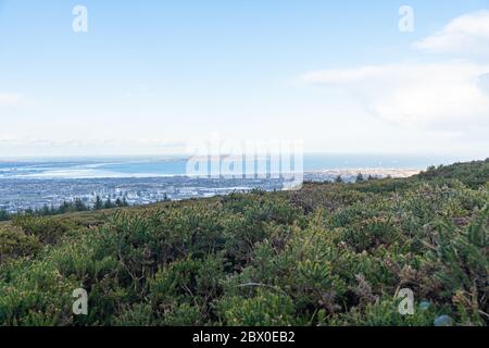 Atemberaubende Aussicht auf Dublin Stadt und Hafen von Ticknock, 3rock, Wicklow Berge. Gose und Waldpflanzen im Vordergrund bei ruhigem Wetter Stockfoto