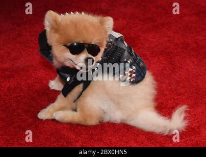 27. Juli 2019, Westfield Cabana im Westfiel, Century City, Kalifornien: Bentley The Pom nimmt am 10. Jahrestag von Kiehls LifeRide für amfAR zugunsten der HIV/AIDS-Forschung in Century City in Westfield Century City in Century City Teil.am 27 2019. Juli. (Bild: © Billy Bennight/ZUMA Wire) Stockfoto