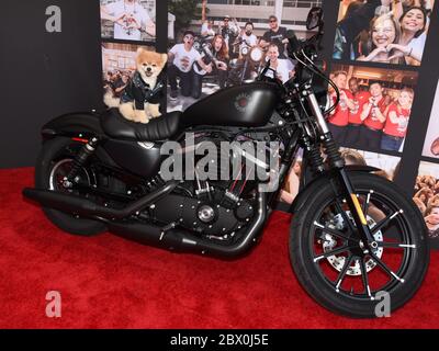 27. Juli 2019, Westfield Cabana im Westfiel, Century City, Kalifornien: Bentley The Pom nimmt am 10. Jahrestag von Kiehls LifeRide für amfAR zugunsten der HIV/AIDS-Forschung in Century City in Westfield Century City in Century City Teil.am 27 2019. Juli. (Bild: © Billy Bennight/ZUMA Wire) Stockfoto