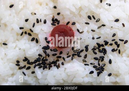 Gekochter Reis gedämpfter Reis auf Schüssel umeboshi eingelegtem Pium Stockfoto