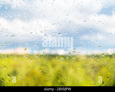 Regentropfen auf schmutzigem Glas des Heims Fenster und Blick auf verschwommenen grünen Wald, regnerisch bewölkten Himmel und Stadt am Horizont am Frühlingstag (Fokus auf Wassertropfen auf Stockfoto