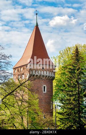 Turm der alten Stadtmauer, Krakau, Polen Stockfoto
