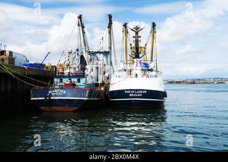 Angelboote in Brixham, Großbritannien. Stockfoto