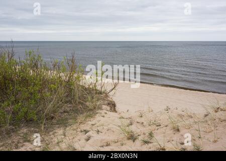 Stadt Carnikava, Lettland. Wanderplatz an der Ostsee mit Sand und Bäumen.03.06.2020 Stockfoto