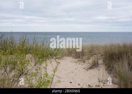 Stadt Carnikava, Lettland. Wanderplatz an der Ostsee mit Sand und Bäumen.03.06.2020 Stockfoto